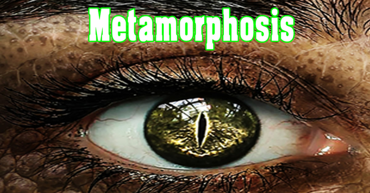 Horror Stories – Metamorphosis