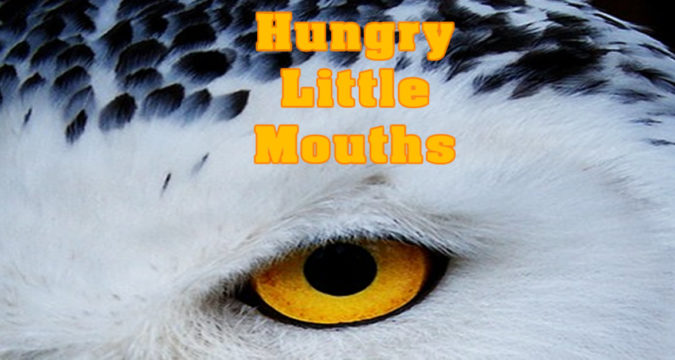 horror stories hungry little mouths